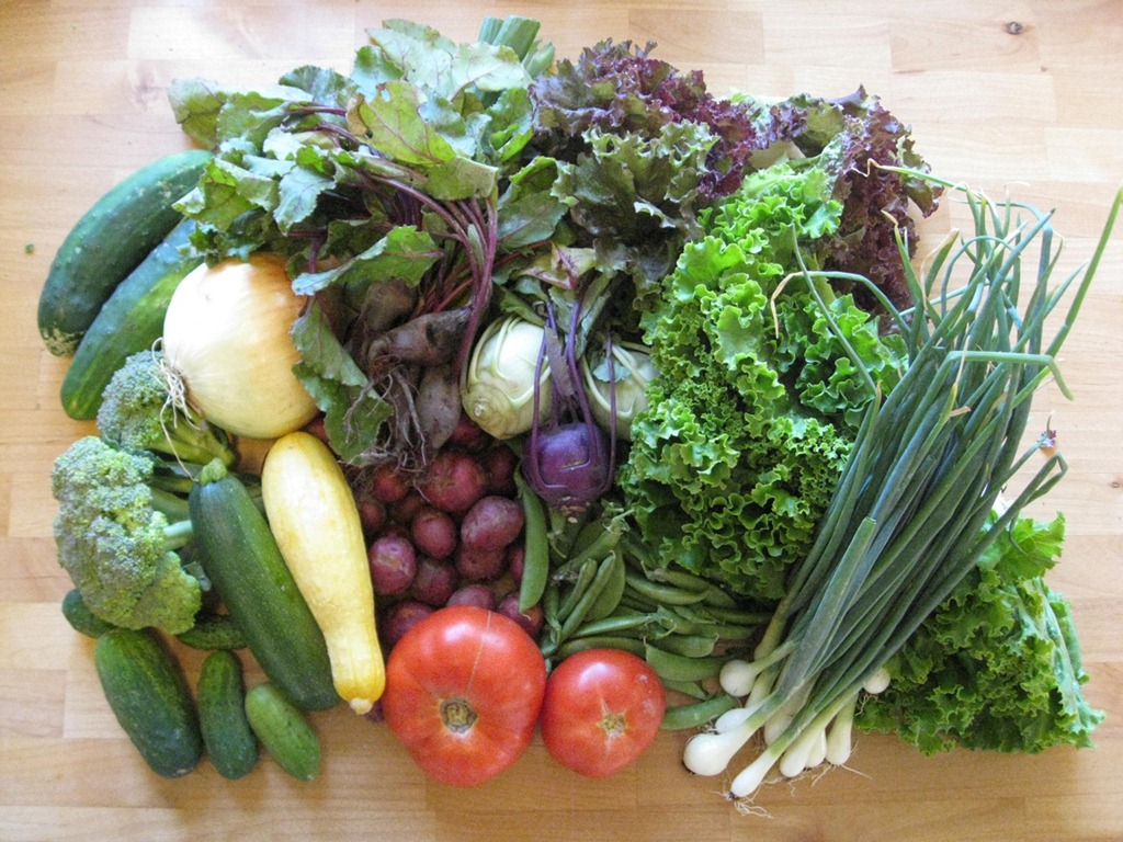 Geauga Family Farms CSA week 5 Life Lyn Style Geauga Family Farms CSA week 5 Life Lyn Style